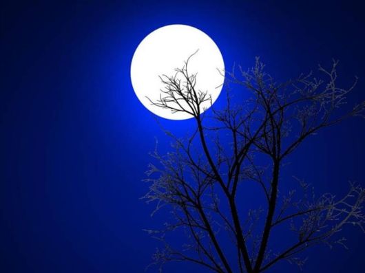 Beautiful Moon Light Pictures