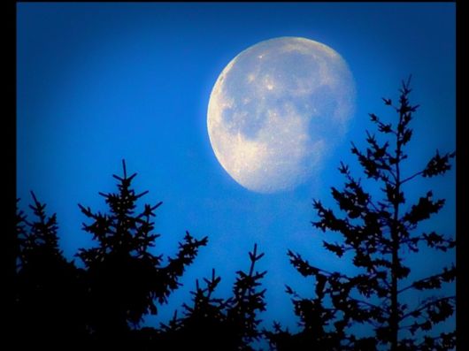 Beautiful Moon Light Pictures