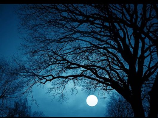 Beautiful Moon Light Pictures