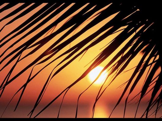 Beautiful Moon Light Pictures