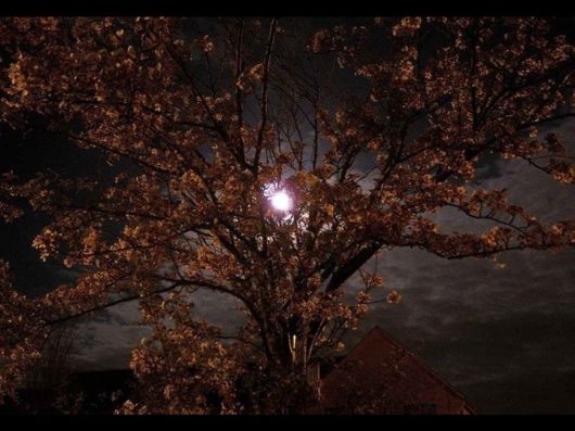 Beautiful Moon Light Pictures