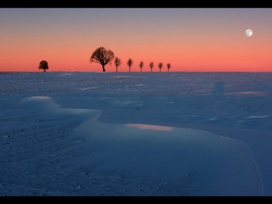 Beautiful Moon Light Pictures