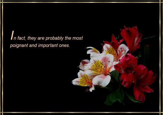 Every Thing Happens For A Reason