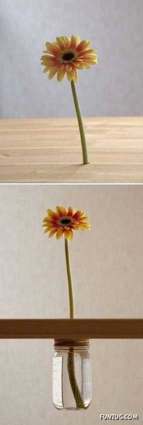 New Inventions By Creative Minds