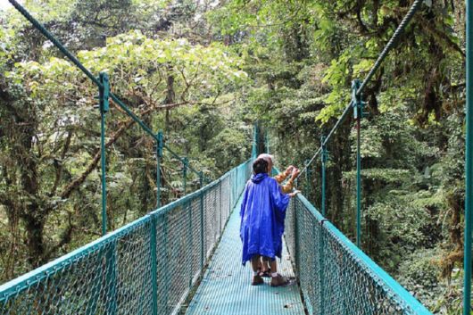 Hanging Bridges Around The World