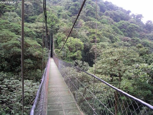 Hanging Bridges Around The World