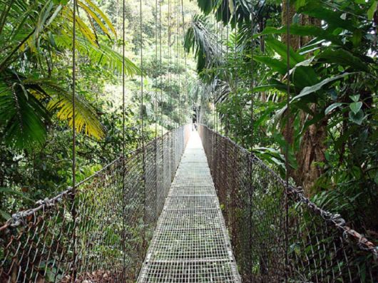 Hanging Bridges Around The World