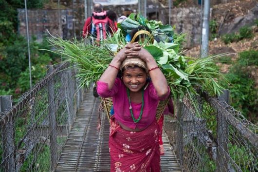 Hanging Bridges Around The World