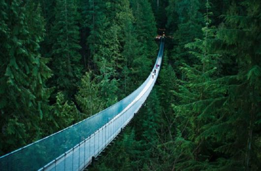 Hanging Bridges Around The World