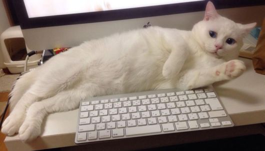 Most Awful And Cutest Sleeping Face
