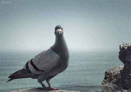 Cool Forced Perspective Images