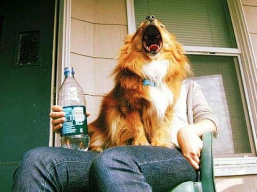 Cool Forced Perspective Images