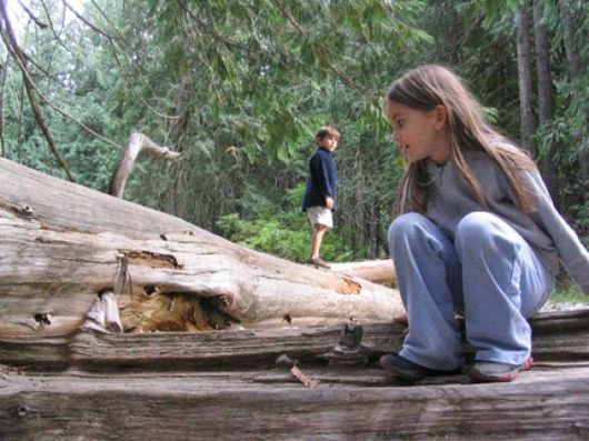 Cool Forced Perspective Images