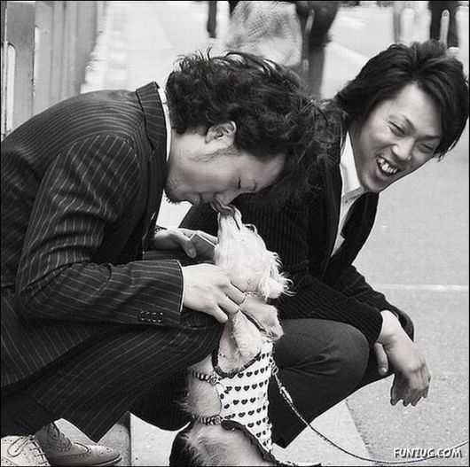 Dogs Are Really True Friends