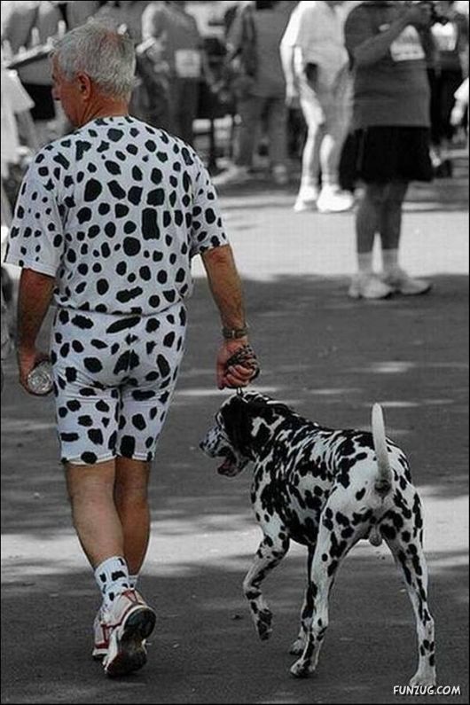 Dogs Are Really True Friends