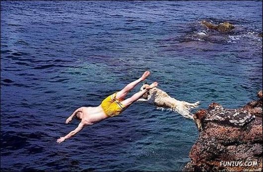 Dogs Are Really True Friends