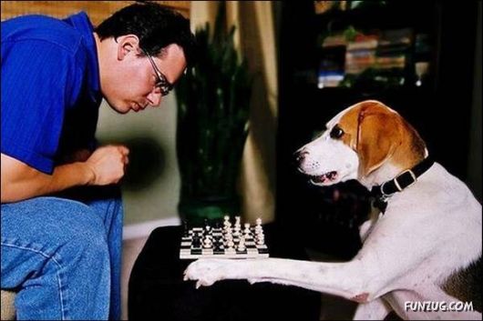 Dogs Are Really True Friends