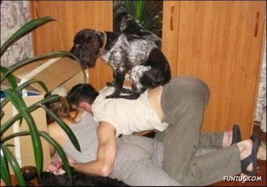 Dogs Are Really True Friends