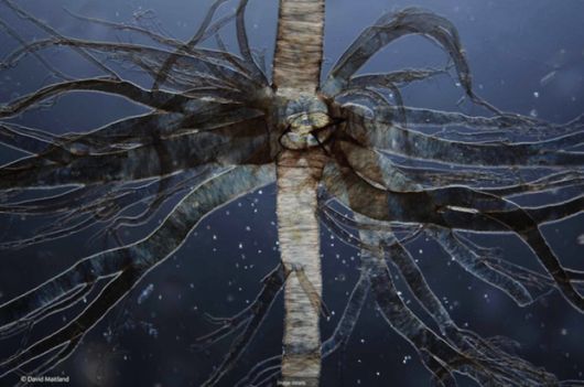 Winners Of Wildlife Photographer Of The Year 2014