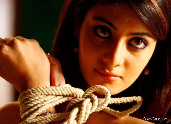 Click to Enlarge - Beautiful Neha Oberoi Wallpapers